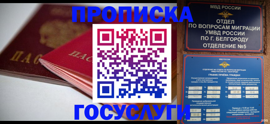 временная регистрация собственник в Георгиевске